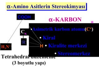•Asimetrik karbon atomu(C∗
)
• Kiral
• Kiralite merkezi
• Stereomerkez
α-Amino Asitlerin Stereokimyasıα-Amino Asitlerin Stereokimyası
Tetrahedral düzenleme
(3 boyutlu yapı)
COOH
Cα
R
HH3N+
α-KARBON ( Cα)
 