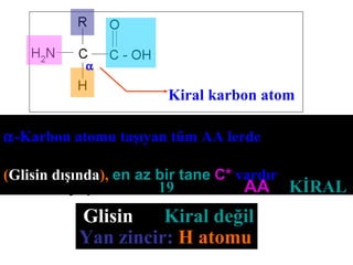 Kiral karbon atom
α-Karbon atomu taşıyan tüm AA lerde
(Glisin dışında), en az bir tane C* vardır
Glisin → Kiral değil
Yan zincir: H atomu
•Protein yapısındaki 19 standart AA→KİRAL
α
 