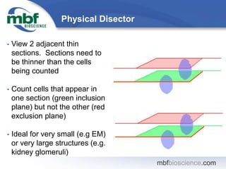 mbfbioscience.com
Physical Disector
• View 2 adjacent thin
sections. Sections need to
be thinner than the cells
being coun...