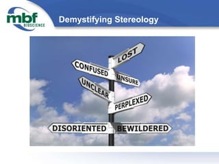 stereology basics stereology basics
