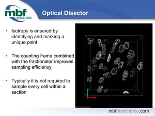 mbfbioscience.com
Optical Disector
• Isotropy is ensured by
identifying and marking a
unique point
• The counting frame co...