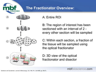 mbfbioscience.com
The Fractionator Overview:
A: Entire ROI
B: The region of interest has been
sectioned with an interval o...
