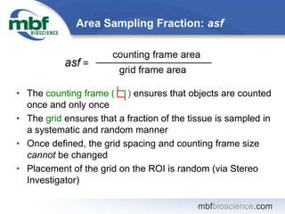 mbfbioscience.com
• The counting frame ( ) ensures that objects are counted
once and only once
• The grid ensures that a f...