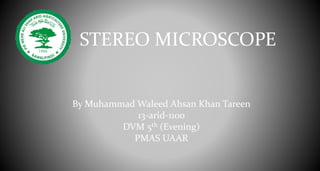 STEREO MICROSCOPE
By Muhammad Waleed Ahsan Khan Tareen
13-arid-1100
DVM 5th (Evening)
PMAS UAAR
 