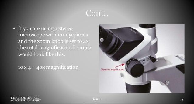 Stereo Microscope Or Dissecting Miscrscope