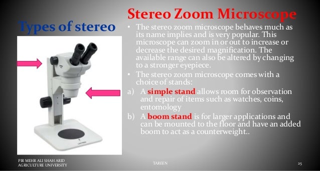 Stereo Microscope Or Dissecting Miscrscope