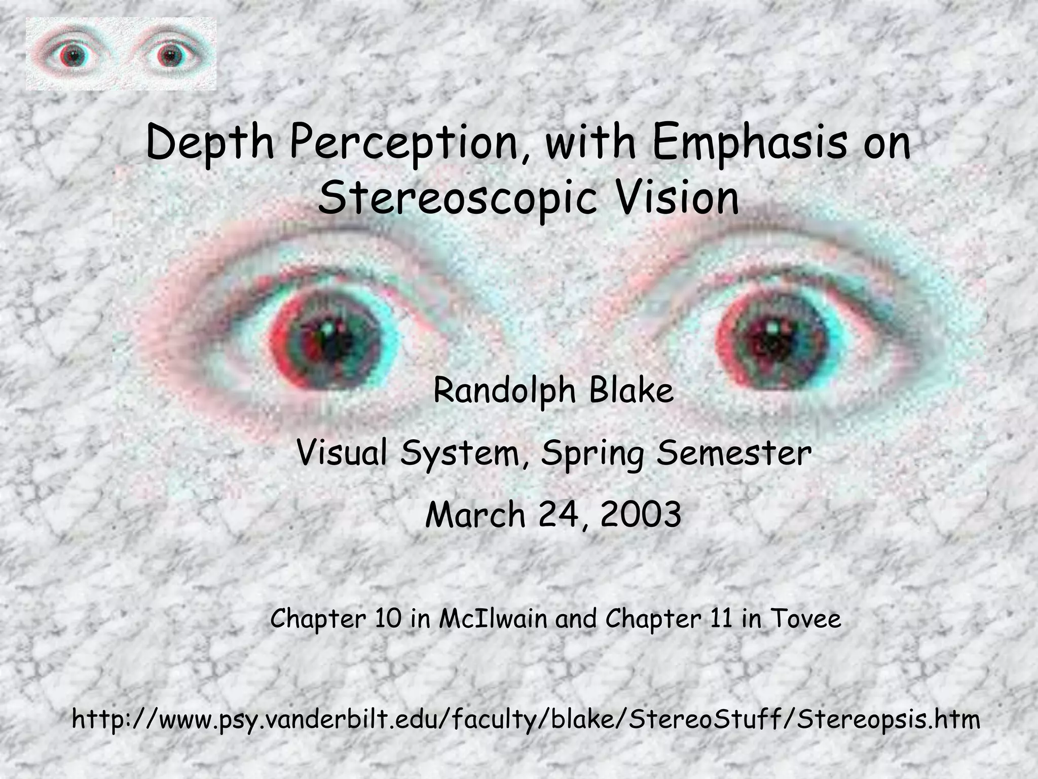 Stereoptic Process Stereopsis(1).ppt