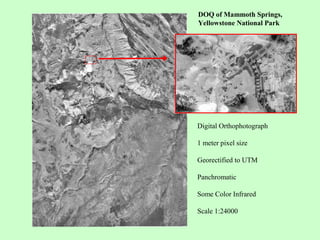 Digital Orthophotograph
1 meter pixel size
Georectified to UTM
Panchromatic
Some Color Infrared
Scale 1:24000
DOQ of Mammoth Springs,
Yellowstone National Park
 