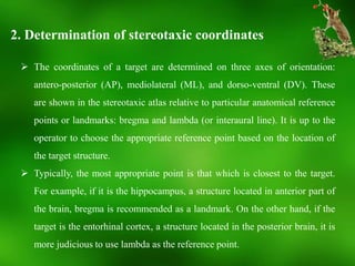 Stereotaxic atlas | PPTX