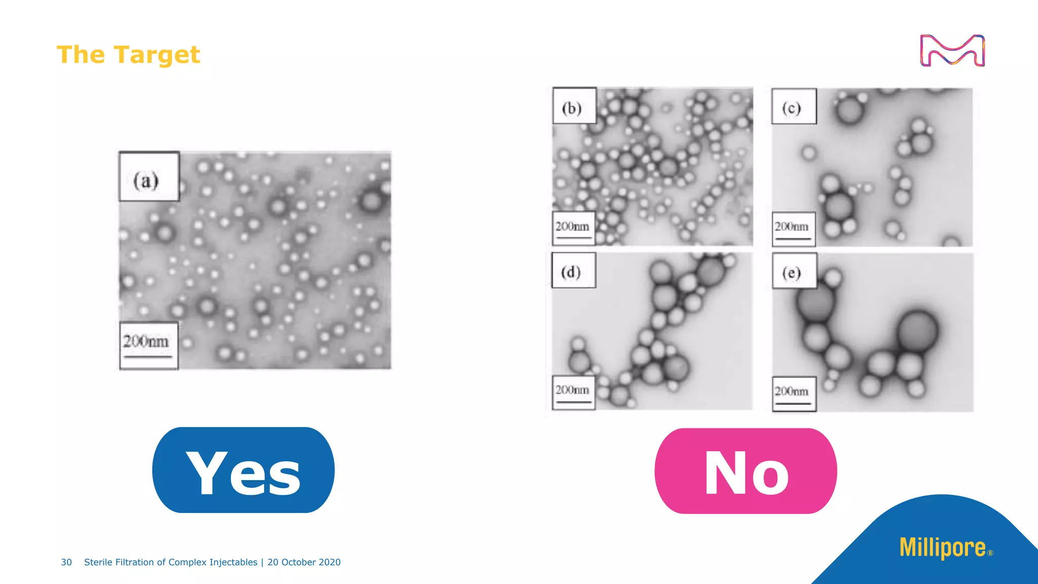 30
The Target
30 Sterile Filtration of Complex Injectables | 20 October 2020
Yes No
 