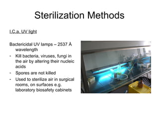 Sterilization Methods 
I.C.a. UV light 
Bactericidal UV lamps – 2537 Å 
wavelength 
- Kill bacteria, viruses, fungi in 
the air by altering their nucleic 
acids 
- Spores are not killed 
- Used to sterilize air in surgical 
rooms, on surfaces e.g. 
laboratory biosafety cabinets 
 