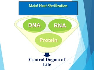 Central Dogma of
Life
Protein
DNA RNA
18
 
