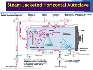 Steam Jacketed Horizontal Autoclave
27
 