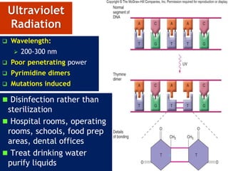 Ultraviolet
Radiation
 Wavelength:
 200-300 nm
 Poor penetrating power
 Pyrimidine dimers
 Mutations induced
 Disinfection rather than
sterilization
 Hospital rooms, operating
rooms, schools, food prep
areas, dental offices
 Treat drinking water
purify liquids
40
 