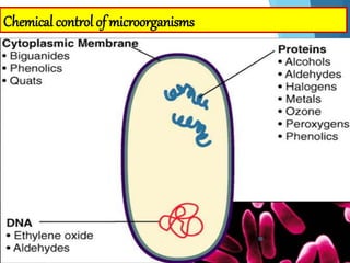 Chemical control of microorganisms
50
 