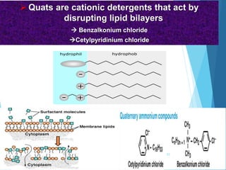  Quats are cationic detergents that act by
disrupting lipid bilayers
 Benzalkonium chloride
Cetylpyridinium chloride
53
 