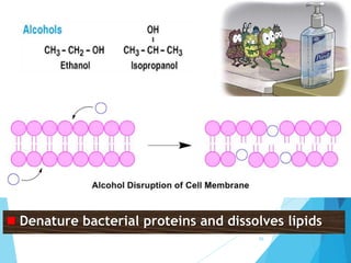  Denature bacterial proteins and dissolves lipids
56
 