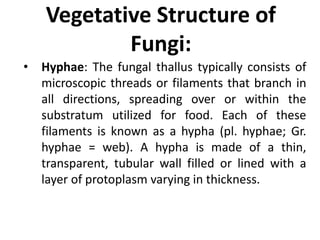 Vegetative Structure of
Fungi:
• Hyphae: The fungal thallus typically consists of
microscopic threads or filaments that branch in
all directions, spreading over or within the
substratum utilized for food. Each of these
filaments is known as a hypha (pl. hyphae; Gr.
hyphae = web). A hypha is made of a thin,
transparent, tubular wall filled or lined with a
layer of protoplasm varying in thickness.
 