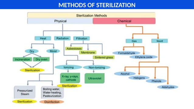 Sterilization Techniques - Medical Microbiology | PPTX | Indoor ...