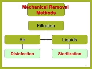 Sterilization and disinfection- Phrmaceutical Microbiology | PPTX