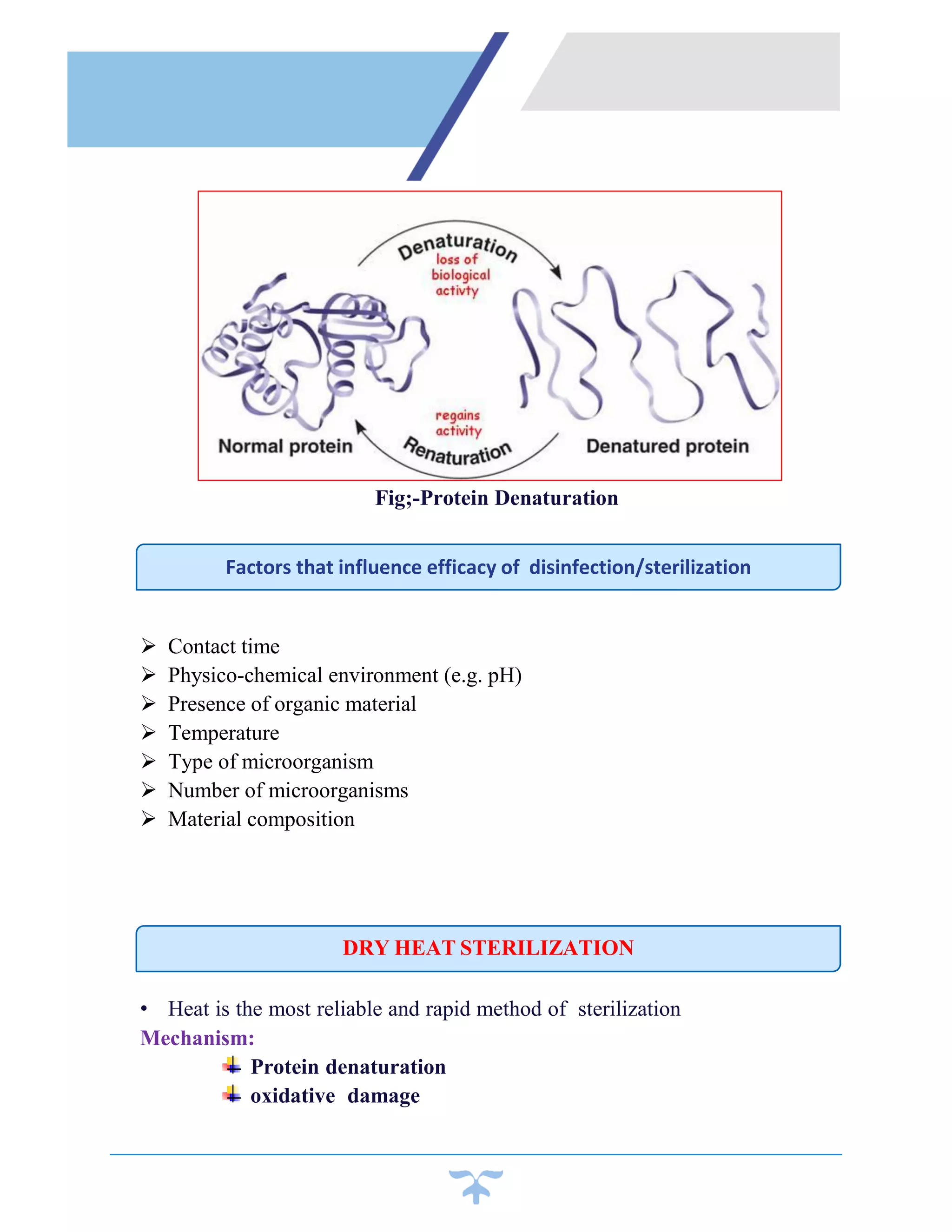 Sterilization by dry heat(applied microbiology) | PDF