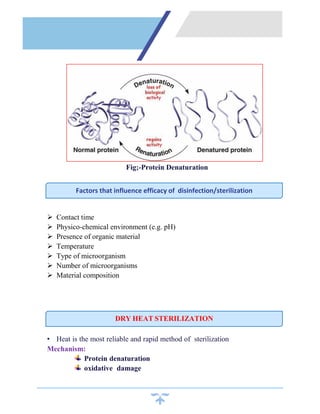Fig;-Protein Denaturation
 Contact time
 Physico-chemical environment (e.g. pH)
 Presence of organic material
 Temperature
 Type of microorganism
 Number of microorganisms
 Material composition
• Heat is the most reliable and rapid method of sterilization
Mechanism:
Protein denaturation
oxidative damage
Factors that influence efficacy of disinfection/sterilization
DRY HEAT STERILIZATION
 