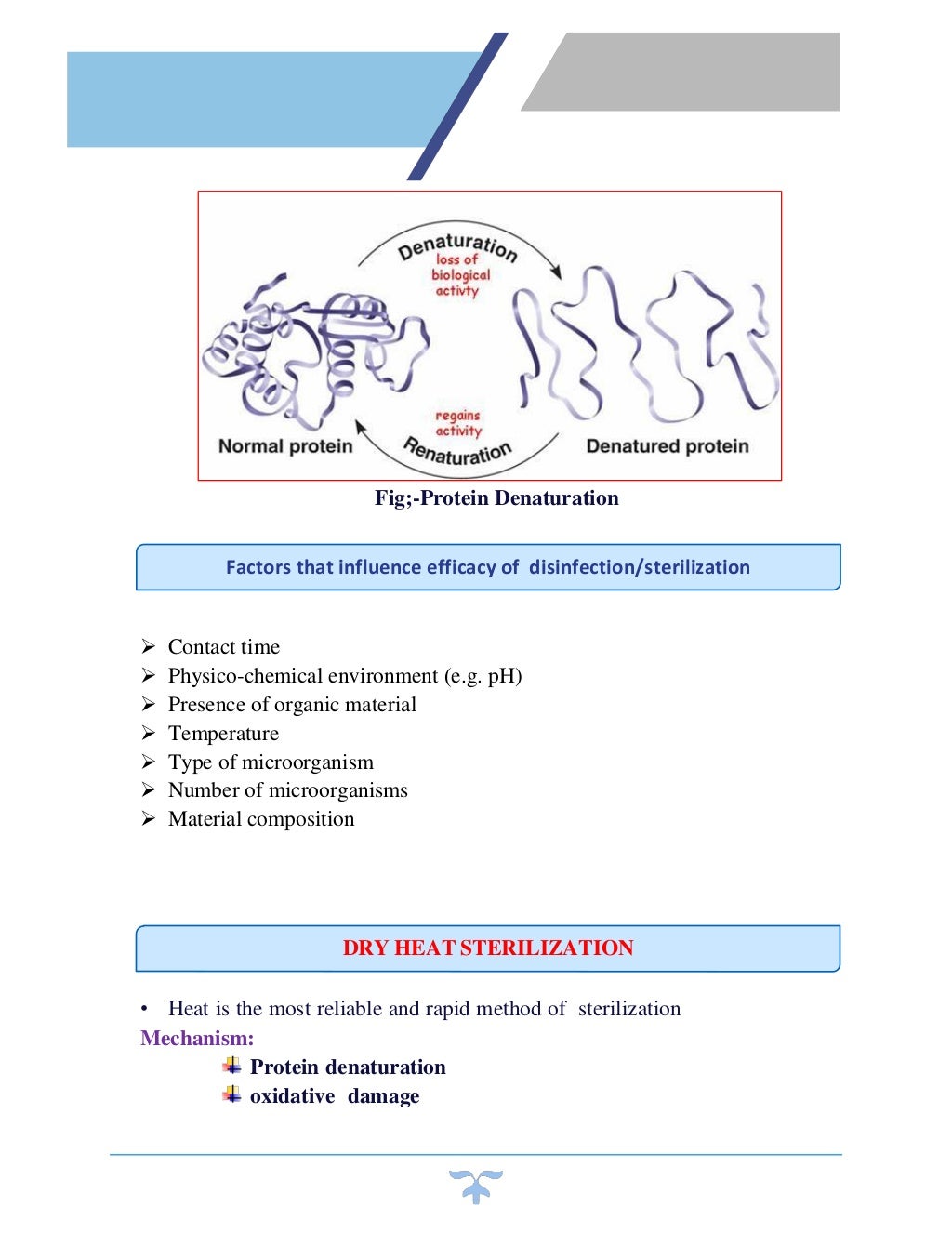 Sterilization by dry heat(applied microbiology)