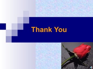 Thank   You 