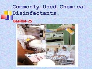 Commonly Used Chemical Disinfectants. Basillol-25 