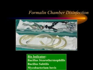 Formalin Chamber Disinfection
Bio Indicator:
Bacillus Stearothermophillis
Bacillus Subtilis
Mycobacterium bovis
 
