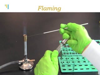 Tankertanker Design
Tankertanker Design
Tankertanker Design
Flaming
10
 