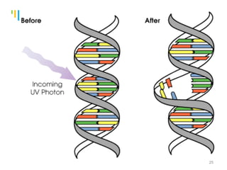 Tankertanker Design
Tankertanker Design
Tankertanker Design
25
 