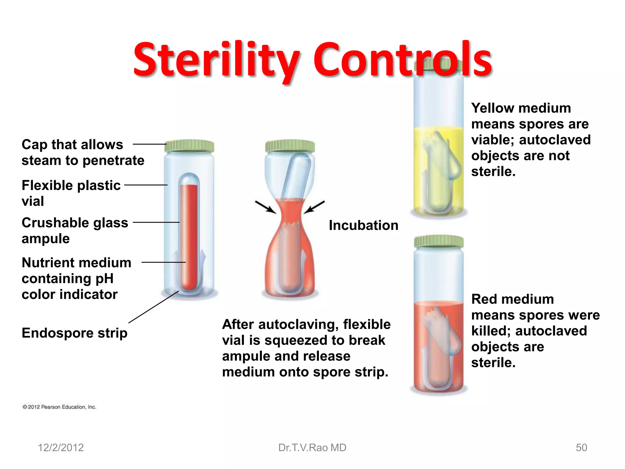 Sterility Controls
                                                     Yellow medium
                                                     means spores are
Cap that allows                                      viable; autoclaved
steam to penetrate                                   objects are not
                                                     sterile.
Flexible plastic
vial
Crushable glass                         Incubation
ampule
Nutrient medium
containing pH
color indicator                                      Red medium
                                                     means spores were
                       After autoclaving, flexible   killed; autoclaved
Endospore strip
                       vial is squeezed to break     objects are
                       ampule and release            sterile.
                       medium onto spore strip.




  12/2/2012                    Dr.T.V.Rao MD                        50
 