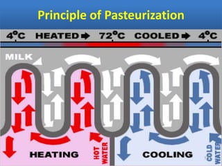Principle of Pasteurization
 