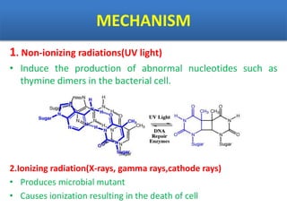 MECHANISM
1. Non-ionizing radiations(UV light)
• Induce the production of abnormal nucleotides such as
thymine dimers in the bacterial cell.
2.Ionizing radiation(X-rays, gamma rays,cathode rays)
• Produces microbial mutant
• Causes ionization resulting in the death of cell
 