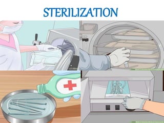 STERILIZATION
 