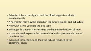 • Fallopian tube is thus ligated and the blood supply is occluded
simultaneously
• A haemostat may now be placed on the suture strands and cut suture
• Now with clamp you hold the tied tube
• While gentle traction is maintained on the elevated section of tube
• scissors is used to pierce the mesosalpinx and approximately 1 cm of
tube is excised
• examined for bleeding and then the tube is returned to the
abdominal cavity
 