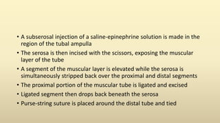 • A subserosal injection of a saline-epinephrine solution is made in the
region of the tubal ampulla
• The serosa is then incised with the scissors, exposing the muscular
layer of the tube
• A segment of the muscular layer is elevated while the serosa is
simultaneously stripped back over the proximal and distal segments
• The proximal portion of the muscular tube is ligated and excised
• Ligated segment then drops back beneath the serosa
• Purse-string suture is placed around the distal tube and tied
 
