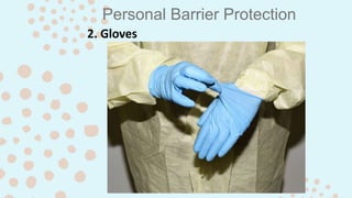 Personal Barrier Protection
2. Gloves
 
