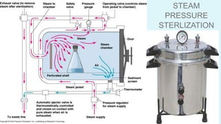 STEAM
PRESSURE
STERLIZATION
 