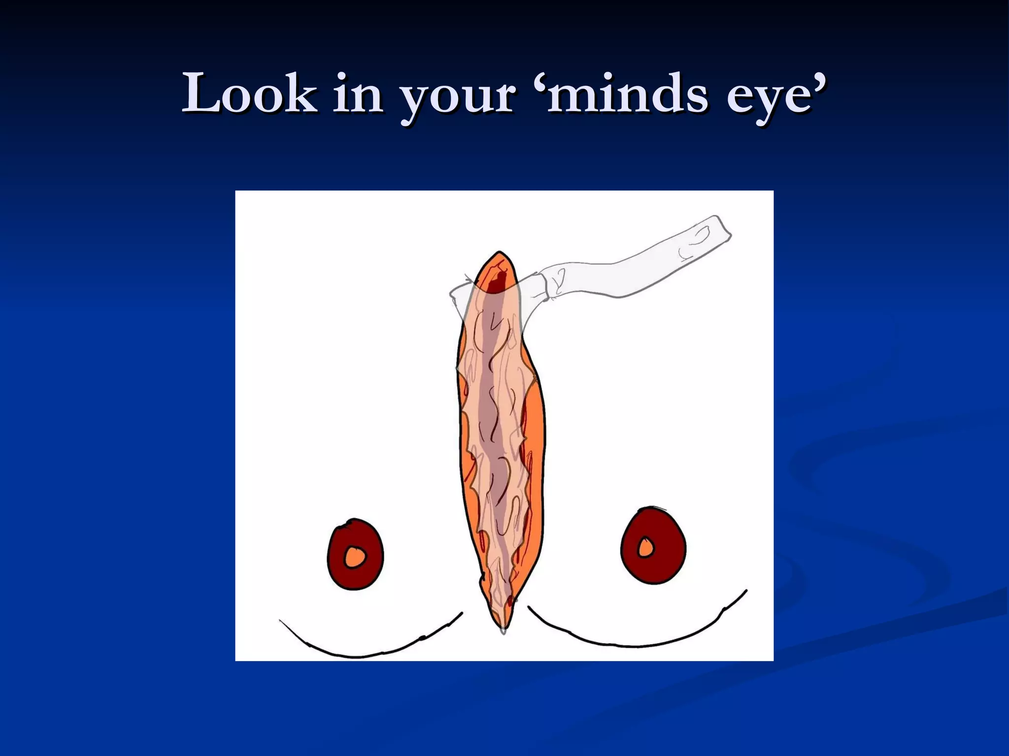 Look in your ‘minds eye’ 