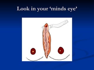Look in your ‘minds eye’ 