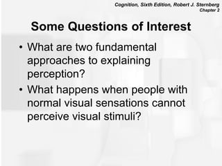 Sternberg_Cognition_6e_PPT_visual perception.pptx
