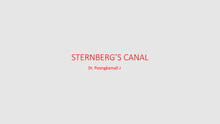 STERNBERG’S CANAL
Dr. Poongkamali J
 