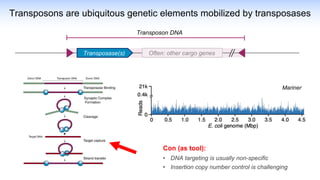 Transposons are ubiquitous genetic elements mobilized by transposases
Often: other cargo genes
Transposon DNA
Transposase(s)
Mariner
Con (as tool):
• DNA targeting is usually non-specific
• Insertion copy number control is challenging
 