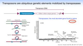 Aziz et al., Nucleic Acids Res. 38, 4207–4217 (2010)
Transposases: the most abundant gene found in nature
Transposons are ubiquitous genetic elements mobilized by transposases
Often: other cargo genes
Transposon DNA
Transposase(s)
 
