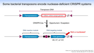 Some bacterial transposons encode nuclease-deficient CRISPR systems
Often: other cargo genes
Transposon DNA
Transposase(s)
Opportunism / Exaptation
CRISPR-Cas
DNA insertion module DNA targeting module
Not a nuclease!
Peters et al., Proc Natl Acad Sci USA 114, E7358–E7366 (2017)
Faure et al., Nat Rev Microbiol 17, 513–525 (2019)
Transposase(s) Cas gene(s)
I-B, I-F, or V-K
 