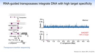 Mariner
VchCAST
>99% on-target
Klompe et al., Nature, 571, 219 (2019)
RNA-guided transposases integrate DNA with high target specificity
Transposon-insertion sequencing
 