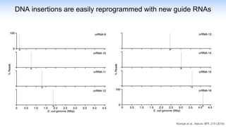 DNA insertions are easily reprogrammed with new guide RNAs
Klompe et al., Nature, 571, 219 (2019)
 