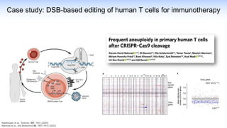 Case study: DSB-based editing of human T cells for immunotherapy
Stadtmauer et al., Science. 367, 1001 (2020)
Nahmad et al., Nat Biotechnol 40, 1807-1813 (2022)
 